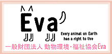 動物環境・福祉協会Eva